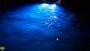 LIFEFORM 9 projecting blue light into the water behind a boat at night